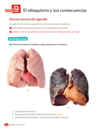 El tabaquismo y sus consecuencias
9
Lección
Unidad 3 • Vida saludable
Efectos nocivos del cigarrillo
Los cigarrillos se consumen aspirando el humo que se produce al quemarlos.
1 	¿Qué daños provoca el cigarrillo en las personas que fuman?
2 	¿Afecta a los no fumadores la exposición al humo del cigarrillo?, ¿por qué?
1 	Observa las siguientes imágenes. Luego, responde en tu cuaderno.
a.	 ¿Qué órganos reconoces?
b.	 Compara qué similitudes y diferencias existen entre A y B .
c.	 	
¿Qué órganos corresponderán a una persona fumadora?, ¿por qué?
A
B
Actividad inicial
106
106
 