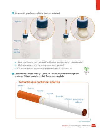 Lección 9 • El tabaquismo y sus consecuencias
2 	Un grupo de estudiantes realizó la siguiente actividad:
Plomo
Cigarrillo
Algodón
Botella
plástica
Cadmio
Tolueno
Monóxido de
carbono
Amoníaco
Alquitrán
Nicotina
a.	 ¿Qué ocurrió con el color del algodón al finalizar el experimento?, ¿a qué se debe?
b.	 ¿Qué pasaría con el algodón si se queman más cigarrillos?
c.	 Considerando los resultados, ¿cómo afecta el cigarrillo al organismo?
3 	Observa el esquema e investiga los efectos de los componentes del cigarrillo
señalados. Elabora una tabla con la información recopilada.
Sustancias que contiene el cigarrillo
107
Página
54
 