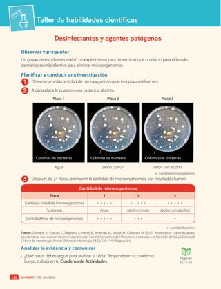 Taller de habilidades científicas
Desinfectantes y agentes patógenos
Observar y preguntar
Un grupo de estudiantes realizó un experimento para determinar qué producto para el lavado
de manos es más efectivo para eliminar microorganismos.
Planificar y conducir una investigación
1 	 Determinaron la cantidad de microorganismos de tres placas diferentes.
2 	 A cada placa le pusieron una sustancia distinta.
Placa 1 Placa 2 Placa 3
Agua Jabón común Jabón con alcohol
+ : cantidad microorganismos
3 	 Después de 24 horas, estimaron la cantidad de microorganismos. Sus resultados fueron:
Cantidad de microorganismos
Placa 1 2 3
Cantidad inicial de microorganismos + + + + + + + + + + + + + + +
Sustancia Agua Jabón común Jabón con alcohol
Cantidad final de microorganismos + + + + + + + + +
+ : cantidad bacterias
Fuente: Diomedi, A., Chacón, E., Delpiano, L., Hervé, B., Jemenao, M., Medel, M., Cifuentes, M. (2017). Antisépticos y desinfectantes:
apuntando al uso racional. Recomendaciones del Comité Consultivo de Infecciones Asociadas a la Atención de Salud, Sociedad
Chilena de Infectología. Revista Chilena de Infectología, 34 (2), 156-174. (Adaptación).
Analizar la evidencia y comunicar
•	 ¿Qué pasos debes seguir para analizar la tabla? Responde en tu cuaderno.
Luego, trabaja en tu Cuaderno de Actividades.
Páginas
60 y 61
126 Unidad 3 • Vida saludable
Colonias de bacterias Colonias de bacterias Colonias de bacterias
 