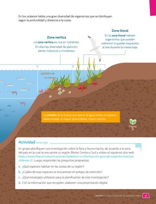 En los océanos habita una gran diversidad de organismos que se distribuyen
según la profundidad y distancia a la costa.
En grupo planifiquen una investigación sobre la flora y fauna marina, de acuerdo a la zona
del país en la cual se encuentre su región (Norte, Centro o Sur) y visiten el siguiente sitio web
https://www.ifop.cl/comunicaciones/boletines-e-informes/mi-guia-de-especies-marinas-
chilenas-2/. Luego, respondan las preguntas propuestas:
a.	 ¿Qué especies habitan en las costas de su región?
b.	 ¿Cuáles de esas especies se encuentran en peligro de extinción?
c.	 ¿Qué estrategias utilizaron para la planificación de esta investigación?
d.	 Con la información que recopilen, elaboren una presentación digital.
Zona nerítica
La zona nerítica es rica en nutrientes.
En ella hay diversidad de plancton,
peces, moluscos y crustáceos.
Zona litoral
En la zona litoral habitan
organismos que pueden
sobrevivir si quedan expuestos
al aire durante la marea baja.
Actividad Investigar
Página
16
27
Lección 2 • Características de los océanos y lagos
La presión es la fuerza que ejerce el agua sobre un espacio
determinado. A mayor profundidad, mayor presión.
 