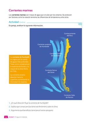 Corrientes marinas
Las corrientes marinas son masas de agua que circulan por los océanos. Se producen
por factores como la rotación terrestre, las diferencias de temperatura, entre otros.
En pareja, analicen la siguiente información:
Contracorriente
del Perú
Corriente oceánica
de Humboldt
Corriente costera
de Humboldt
Corriente Cabo
de Hornos
Corriente Deriva
del Oeste
1.	 ¿En qué dirección fluye la corriente de Humboldt?
2.	 Explica qué consecuencias tiene este fenómeno sobre el clima.
3.	 Argumenta qué beneficios tiene para el sector pesquero.
Actividad Analizar
La corriente de Humboldt
se origina por la subida
de aguas frías profundas.
Tiene como consecuencia
la ausencia de lluvias y la
sequía de la Zona Norte
de Chile.
La corriente arrastra
plancton hacia la
superficie, aumentando la
diversidad de especies.
Unidad 1 • El agua en el planeta
32
 