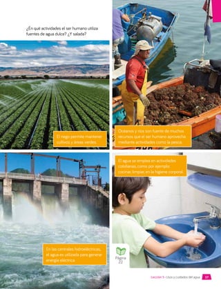 ¿Én qué actividades el ser humano utiliza
fuentes de agua dulce? ¿Y salada?
En las centrales hidroeléctricas,
el agua es utilizada para generar
energía eléctrica.
Océanos y ríos son fuente de muchos
recursos que el ser humano aprovecha
mediante actividades como la pesca.
El riego permite mantener
cultivos y áreas verdes.
El agua se emplea en actividades
cotidianas, como por ejemplo:
cocinar, limpiar, en la higiene corporal.
Página
22
37
Lección 3 • Usos y cuidados del agua
 