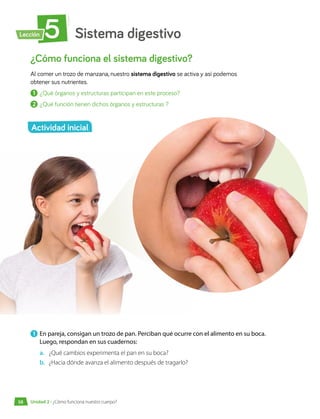 Sistema digestivo
5
Lección
¿Cómo funciona el sistema digestivo?
Al comer un trozo de manzana, nuestro sistema digestivo se activa y así podemos
obtener sus nutrientes.
1 	¿Qué órganos y estructuras participan en este proceso?
2 	¿Qué función tienen dichos órganos y estructuras ?
1 	En pareja, consigan un trozo de pan. Perciban qué ocurre con el alimento en su boca.
Luego, respondan en sus cuadernos:
a.	 ¿Qué cambios experimenta el pan en su boca?
b.	 ¿Hacia dónde avanza el alimento después de tragarlo?
Actividad inicial
Unidad 2 • ¿Cómo funciona nuestro cuerpo?
58
 