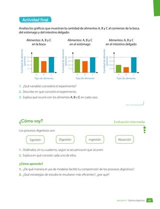 Actividad final
Analiza los gráficos que muestran la cantidad de alimentos A, B y C al comienzo de la boca,
del estómago y del intestino delgado:
Alimentos: A, B y C
en la boca
15
30
45
A B
Boca
C
60
Cantidad
de
alimento
(gramos)
Tipo de alimento
Alimentos: A, B y C
en el estómago
15
30
45
A B
Estómago
C
60
Cantidad
de
alimento
(gramos)
Tipo de alimento
Alimentos: A, B y C
en el intestino delgado
15
30
45
A B
Intestino delgado
C
60
Cantidad
de
alimento
(gramos)
Tipo de alimento
1.	 ¿Qué variables consideró el experimento?
2.	 Describe en qué consistió el experimento.
3.	 Explica qué ocurre con los alimentos A, B y C en cada caso.
Los procesos digestivos son:
Egestión Digestión Ingestión Absorción
1.	 Ordénalos, en tu cuaderno, según la secuencia en que ocurren.
2.	 Explica en qué consiste cada uno de ellos.
¿Cómo aprendo?
1.	 ¿De qué manera el uso de modelos facilitó tu comprensión de los procesos digestivos?
2.	 ¿Qué estrategias de estudio te resultaron más eficientes?, ¿por qué?
¿Cómo voy? Evaluación intermedia
67
Lección 5 • Sistema digestivo
 