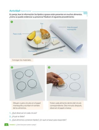 En pareja, lean la información: los lípidos o grasas están presentes en muchos alimentos.
¿Cómo se puede evidenciar su presencia? Realicen el siguiente procedimiento:
1.	 ¿Qué observan en cada círculo?
2.	 ¿A qué se debe?
3.	 ¿Qué alimentos contienen lípidos? ¿En qué se basan para responder?
Actividad Experimentar
Consigan los materiales.
Dibujen cuatro círculos en el papel
mantequilla y escriban el nombre
de los alimentos.
Froten cada alimento dentro del círculo
correspondiente. Diez minutos después,
observen el papel a trasluz.
Mantequilla
Papa cruda
Pan
Hoja de papel
mantequilla
Lápiz
Goma
Maní
1
2 3
72 Unidad 2 • ¿Cómo funciona nuestro cuerpo?
 