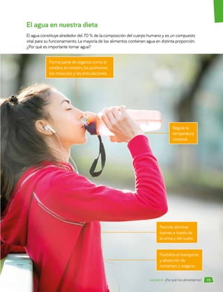 El agua en nuestra dieta
El agua constituye alrededor del 70 % de la composición del cuerpo humano y es un compuesto
vital para su funcionamiento. La mayoría de los alimentos contienen agua en distinta proporción.
¿Por qué es importante tomar agua?
Regula la
temperatura
corporal.
Permite eliminar
toxinas a través de
la orina y del sudor.
Posibilita el transporte
y absorción de
nutrientes y oxígeno.
Forma parte de órganos como el
cerebro, el corazón, los pulmones,
los músculos y las articulaciones.
73
Lección 6 • ¿Por qué nos alimentamos?
 