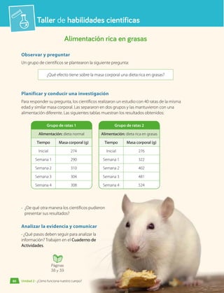 Taller de habilidades científicas
Alimentación rica en grasas
Observar y preguntar
Un grupo de científicos se plantearon la siguiente pregunta:
¿Qué efecto tiene sobre la masa corporal una dieta rica en grasas?
Planificar y conducir una investigación
Para responder su pregunta, los científicos realizaron un estudio con 40 ratas de la misma
edad y similar masa corporal. Las separaron en dos grupos y las mantuvieron con una
alimentación diferente. Las siguientes tablas muestran los resultados obtenidos:
Grupo de ratas 1
Alimentación: dieta normal
Tiempo Masa corporal (g)
Inicial 274
Semana 1 290
Semana 2 310
Semana 3 304
Semana 4 308
Grupo de ratas 2
Alimentación: dieta rica en grasas
Tiempo Masa corporal (g)
Inicial 276
Semana 1 322
Semana 2 402
Semana 3 481
Semana 4 524
•	 ¿De qué otra manera los científicos pudieron
presentar sus resultados?
Analizar la evidencia y comunicar
• ¿Qué pasos deben seguir para analizar la
información? Trabajen en el Cuaderno de
Actividades.
Páginas
38 y 39
80 Unidad 2 • ¿Cómo funciona nuestro cuerpo?
 