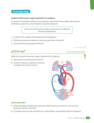 Actividad final
Analiza la información. Luego, responde en tu cuaderno.
Un grupo de estudiantes realizó una investigación sobre la frecuencia cardíaca de personas
sedentarias y deportistas. Se plantearon la siguiente pregunta:
¿Cómo varía la frecuencia cardíaca en personas con diferente
nivel de actividad física?
1.	 ¿Cuáles son las variables de la pregunta de investigación?
2.	 ¿Qué tipos de personas debieron seleccionar para nacer el estudio?
3.	 ¿Qué procedimiento pudieron efectuar?
¿Cómo aprendo?
1.	 ¿Qué estrategias empleaste para aprender sobre el sistema circulatorio?, ¿en qué otras
asignaturas podrías aplicarlas?
2.	 ¿Consideras que has sido autónomo en tu aprendizaje?, ¿qué podrías mejorar al respecto?
Observa el siguiente esquema. Luego, responde en tu cuaderno.
1.	 ¿Qué estructuras representan las letras?
2.	 Usando el esquema, explica el circuito de
la sangre en el cuerpo humano.
C
A
D
B
¿Cómo voy? Evaluación intermedia
89
Lección 7 • Sistema circulatorio
 