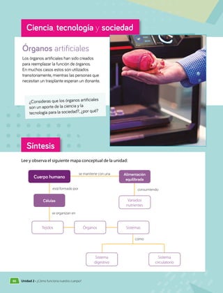 Síntesis
Ciencia, tecnología y sociedad
Órganos artificiales
Los órganos artificiales han sido creados
para reemplazar la función de órganos.
En muchos casos estos son utilizados
transitoriamente, mientras las personas que
necesitan un trasplante esperan un donante.
¿Consideras que los órganos artificiales
son un aporte de la ciencia y la
tecnología para la sociedad?, ¿por qué?
Lee y observa el siguiente mapa conceptual de la unidad:
Sistemas
Órganos
Tejidos
Células
Alimentación
equilibrada
Sistema
circulatorio
Sistema
digestivo
está formado por consumiendo
se mantiene con una
se organizan en
como
Cuerpo humano
Variados
nutrientes
90 Unidad 2 • ¿Cómo funciona nuestro cuerpo?
 