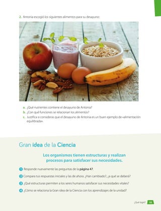 2.	 Antonia escogió los siguientes alimentos para su desayuno:
a.	 ¿Qué nutrientes contiene el desayuno de Antonia?
b.	 ¿Con qué funciones se relacionan los alimentos?
c.	 	
Justifica si consideras que el desayuno de Antonia es un buen ejemplo de «alimentación
equilibrada».
Gran idea de la Ciencia
1 	Responde nuevamente las preguntas de la página 47.
2 	Compara tus respuestas iniciales y las de ahora. ¿Han cambiado?, ¿a qué se deberá?
3 	¿Qué estructuras permiten a los seres humanos satisfacer sus necesidades vitales?
4 	¿Cómo se relaciona la Gran idea de la Ciencia con los aprendizajes de la unidad?
Los organismos tienen estructuras y realizan
procesos para satisfacer sus necesidades.
93
¿Qué logré?
 