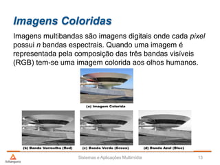 Imagens Coloridas
Imagens multibandas são imagens digitais onde cada pixel
possui n bandas espectrais. Quando uma imagem é
representada pela composição das três bandas visíveis
(RGB) tem-se uma imagem colorida aos olhos humanos.
Sistemas e Aplicações Multimídia 13
 