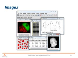 ImageJ
Sistemas e Aplicações Multimídia 65
 