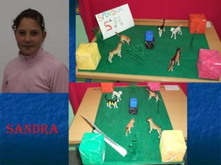 SANDRA 