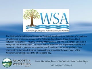 The National Capital Region Watershed Stewards Academy is an initiative of a coalition
of watershed protection groups in the Potomac, Rock Creek, Anacostia and East
Patuxent watersheds -- roughly covering Montgomery and Prince George's Counties in
Maryland and the District of Columbia. Master Stewards will implement projects that
decrease pollution, prevent stormwater runoff, and improve water quality in their
community's rivers and streams, thus positively impacting the waterways of the
National Capital Region and the Chesapeake Bay.
 