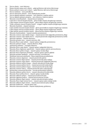 szpile raczka PDF