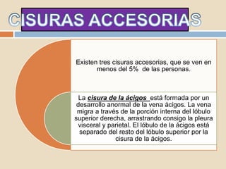 Existen tres cisuras accesorias, que se ven en
menos del 5% de las personas.
La cisura de la ácigos está formada por un
desarrollo anormal de la vena ácigos. La vena
migra a través de la porción interna del lóbulo
superior derecha, arrastrando consigo la pleura
visceral y parietal. El lóbulo de la ácigos está
separado del resto del lóbulo superior por la
cisura de la ácigos.
 