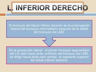 En la proyección lateral , el primer bronquio segmentario
del LID sale hacia atrás, enfrente del bronquio del LMD,
se dirige hacia atrás para ventilar el segmento superior
del lobulo inferior derecho.
El bronquio del lóbulo inferior derecho es la prolongación
directa del bronquio intermediario después de la salida
del bronquio del LMD.
 