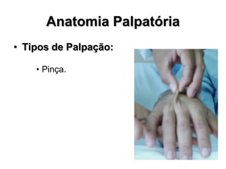 Anatomia Palpatória
• Tipos de Palpação:
• Pinça.
 
