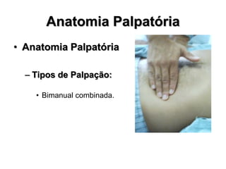 Anatomia Palpatória
• Anatomia Palpatória
– Tipos de Palpação:
• Bimanual combinada.
 