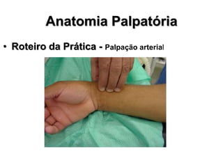 Anatomia Palpatória
• Roteiro da Prática - Palpação arterial
 