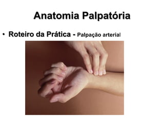 Anatomia Palpatória
• Roteiro da Prática - Palpação arterial
 