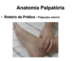 Anatomia Palpatória
• Roteiro da Prática - Palpação arterial
 