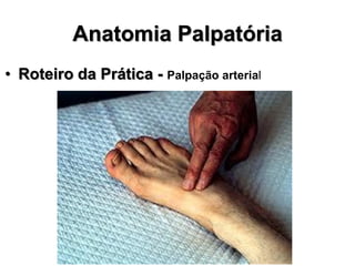 Anatomia Palpatória
• Roteiro da Prática - Palpação arterial
 