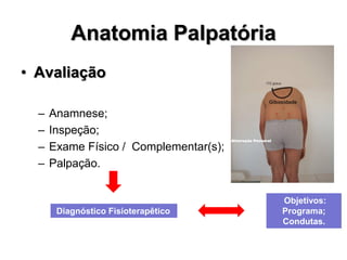 Anatomia Palpatória
• Avaliação
– Anamnese;
– Inspeção;
– Exame Físico / Complementar(s);
– Palpação.
Diagnóstico Fisioterapêtico
Objetivos:
Programa;
Condutas.
 