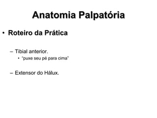 Anatomia Palpatória
• Roteiro da Prática
– Tibial anterior.
• “puxe seu pé para cima”
– Extensor do Hálux.
 