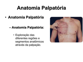 Anatomia Palpatória
• Anatomia Palpatória
– Anatomia Palpatória:
• Exploração das
diferentes regiões e
segmentos anatômicos
através da palpação.
 