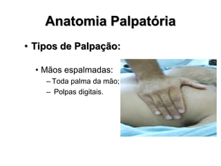 Anatomia Palpatória
• Tipos de Palpação:
• Mãos espalmadas:
– Toda palma da mão;
– Polpas digitais.
 