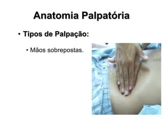 Anatomia Palpatória
• Tipos de Palpação:
• Mãos sobrepostas.
 
