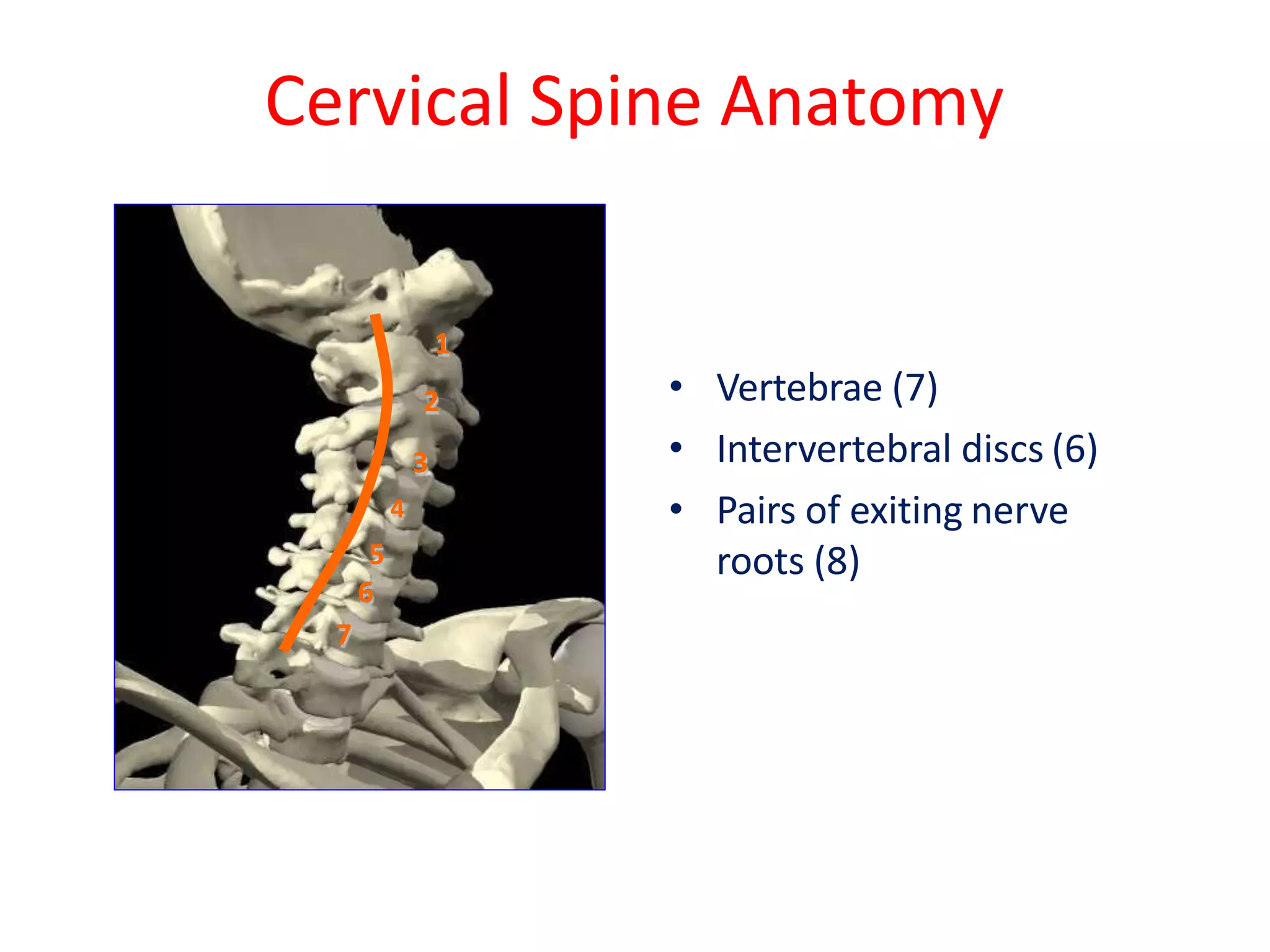 Anatomy of Cervical Spine | PPTX