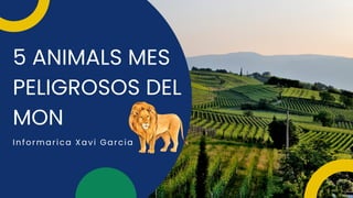 5 ANIMALS MES
PELIGROSOS DEL
MON
Informarica Xavi Garcia
 