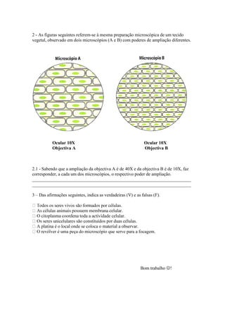 2 - As figuras seguintes referem-se à mesma preparação microscópica de um tecido
vegetal, observado em dois microscópios (A e B) com poderes de ampliação diferentes.




           Ocular 10X                                          Ocular 10X
           Objectiva A                                         Objectiva B



2.1 - Sabendo que a ampliação da objectiva A é de 40X e da objectiva B é de 10X, faz
corresponder, a cada um dos microscópios, o respectivo poder de ampliação.
______________________________________________________________________
______________________________________________________________________

3 – Das afirmações seguintes, indica as verdadeiras (V) e as falsas (F).




                                                  observar.




                                                              Bom trabalho !
 