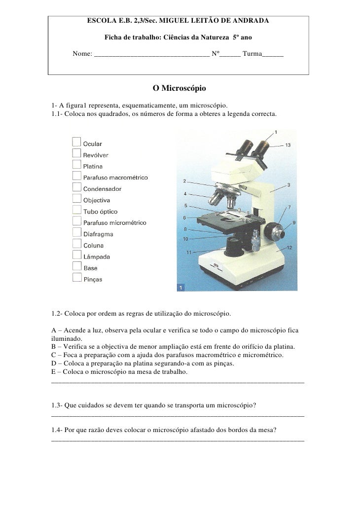 5 ano microsc pio
