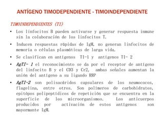ANTÍGENO TIMODEPENDIENTE - TIMOINDEPENDIENTE
TIMOINDEPENDIENTES (TI)
• Los linfocitos B pueden activarse y generar respuesta inmune
sin la colaboración de los linfocitos T.
• Inducen respuestas rápidas de IgM, no generan linfocitos de
memoria o células plasmáticas de larga vida.
• Se clasifican en antígenos TI-1 y antígenos TI- 2
• AgTI- 1 el reconocimiento se da por el receptor de antígeno
del linfocito B y el CD3 y Cr2, ambas señales aumentan la
unión del antígeno a su ligando RRP
• AgTI-2 son polisacáridos capsulares de los neumococos,
flagelina, entre otros. Son polímeros de carbohidratos,
epitópos polipeptídicos de repetición que se encuentra en la
superficie de los microorganismos. Los anticuerpos
producidos por activación de estos antígenos son
mayormante IgM.
 