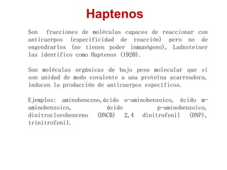 Haptenos
Son fracciones de moléculas capaces de reaccionar con
anticuerpos (especificidad de reacción) pero no de
engendrarlos (no tienen poder inmunógeno), Ladnsteiner
las identifico como Haptenos (1920).
Son moléculas orgánicas de bajo peso molecular que si
son unidad de modo covalente a una proteína acarreadora,
inducen la producción de anticuerpos específicos.
Ejemplos: aminobenceno,ácido o-aminobenzoico, ácido m-
aminobenzoico, ácido p-aminobenzoico,
dinitroclorobenceno (DNCB) 2,4 dinitrofenil (DNP),
trinitrofenil.
 