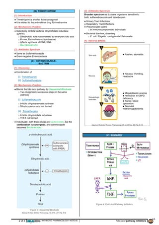 Antibiotics Pharmacology - by ninja nerd notes.pdf