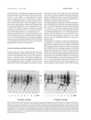 5 Antimicrobial Skin Peptides And Proteins | PDF