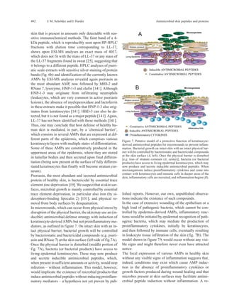 5 Antimicrobial Skin Peptides And Proteins | PDF