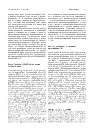5 Antimicrobial Skin Peptides And Proteins | PDF