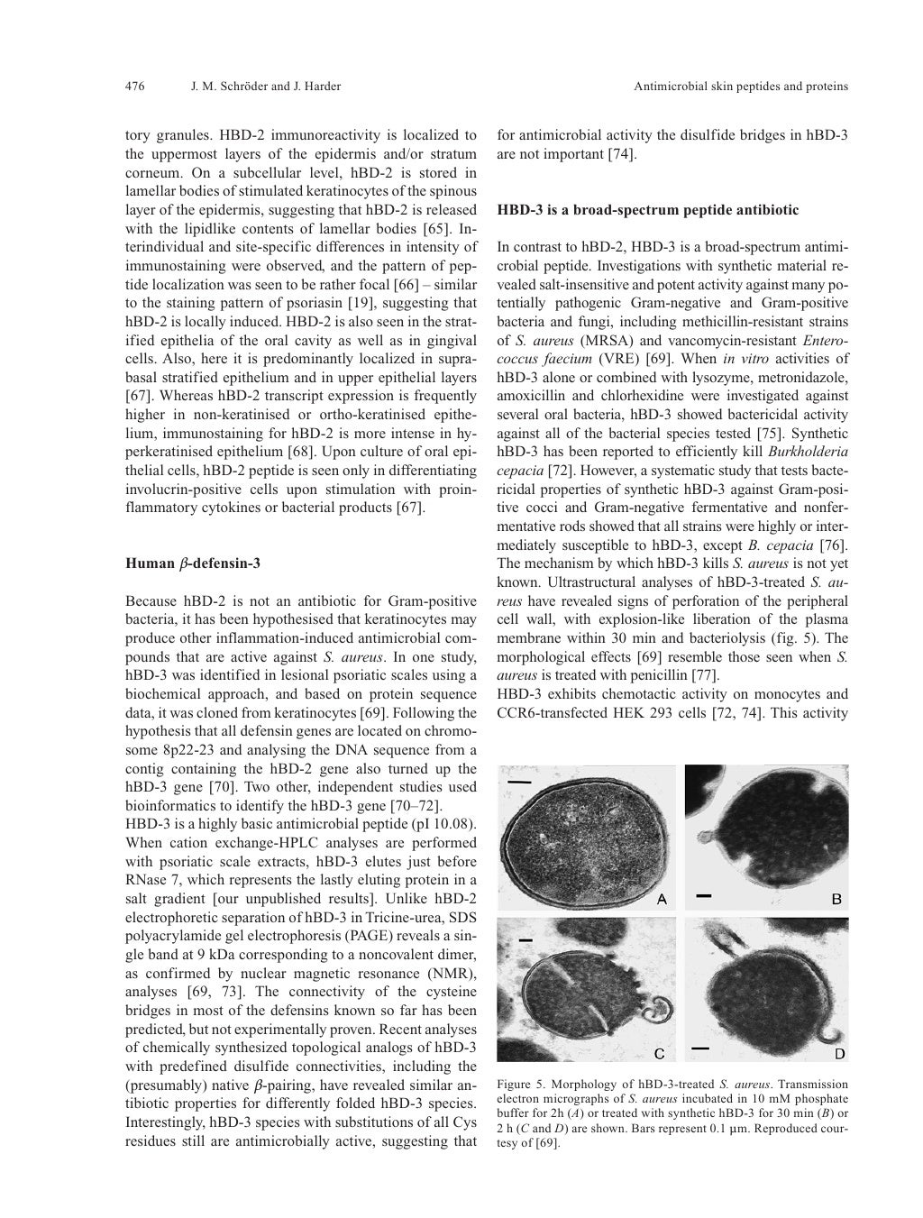 Antimicrobial peptide drug image