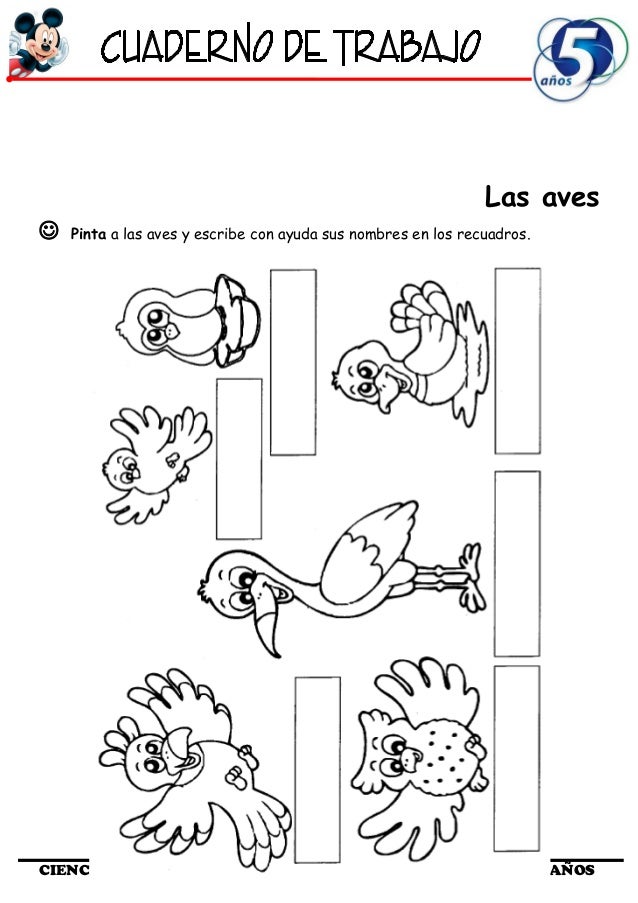 Animales Vertebrados Para Colorear E Imprimir - páginas para colorear