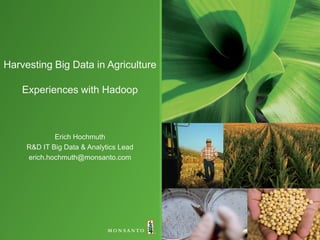 Harvesting Big Data in Agriculture

    Experiences with Hadoop



             Erich Hochmuth
     R&D IT Big Data & Analytics Lead
     erich.hochmuth@monsanto.com
 