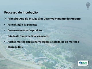 Processo de Incubação
 Primeiro Ano de Incubação: Desenvolvimento do Produto
• Formalização da patente;
• Desenvolvimento do produto;
• Estudo de fontes de financiamento;
• Análise mercadológica (fornecedores e aceitação do mercado
consumidor).
 