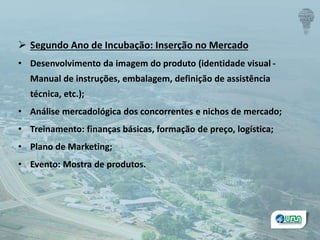  Segundo Ano de Incubação: Inserção no Mercado
• Desenvolvimento da imagem do produto (identidade visual -
Manual de instruções, embalagem, definição de assistência
técnica, etc.);
• Análise mercadológica dos concorrentes e nichos de mercado;
• Treinamento: finanças básicas, formação de preço, logística;
• Plano de Marketing;
• Evento: Mostra de produtos.
 