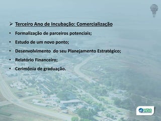  Terceiro Ano de Incubação: Comercialização
• Formalização de parceiros potenciais;
• Estudo de um novo ponto;
• Desenvolvimento do seu Planejamento Estratégico;
• Relatório Financeiro;
• Cerimônia de graduação.
 