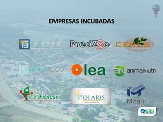 EMPRESAS INCUBADAS
 
