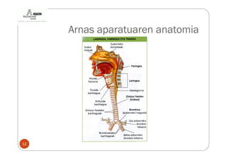 Arnas aparatuaren anatomia




12
 
